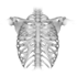 Radiology Portal logo