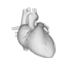 Cardiology Portal logo
